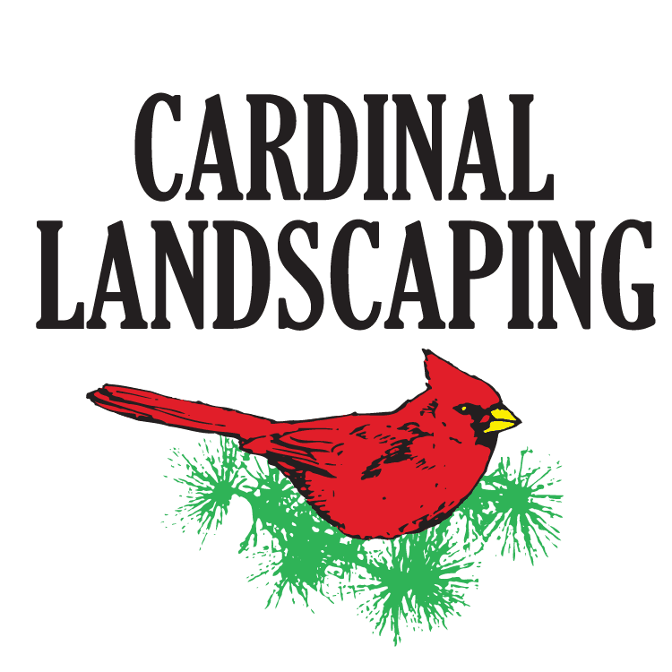 cardinal land scapes mooresville nc