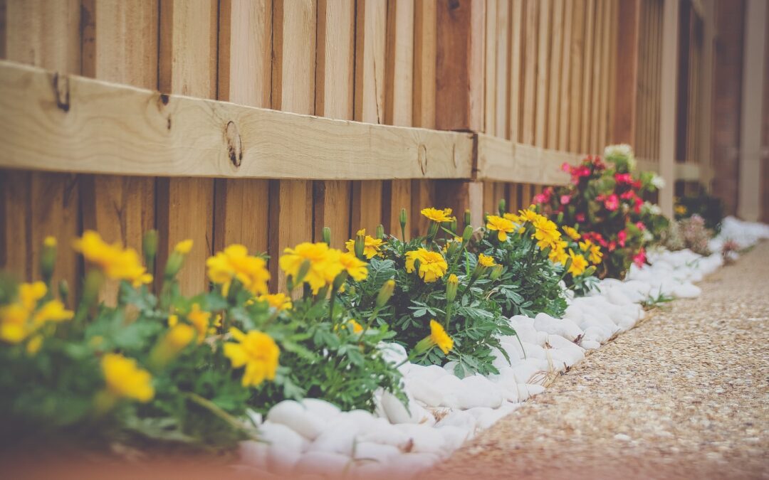 simple landscaping ideas yellow petaled flower beside wooden fence