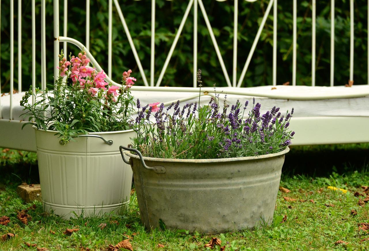 Container Gardening