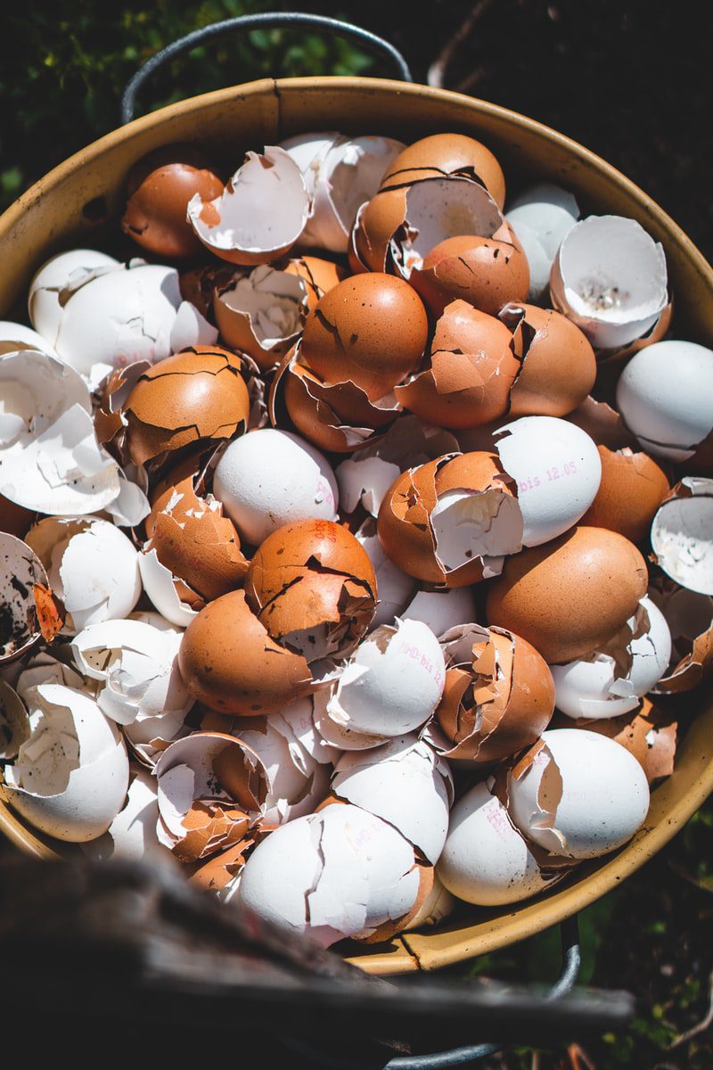 egg shells make great compost material