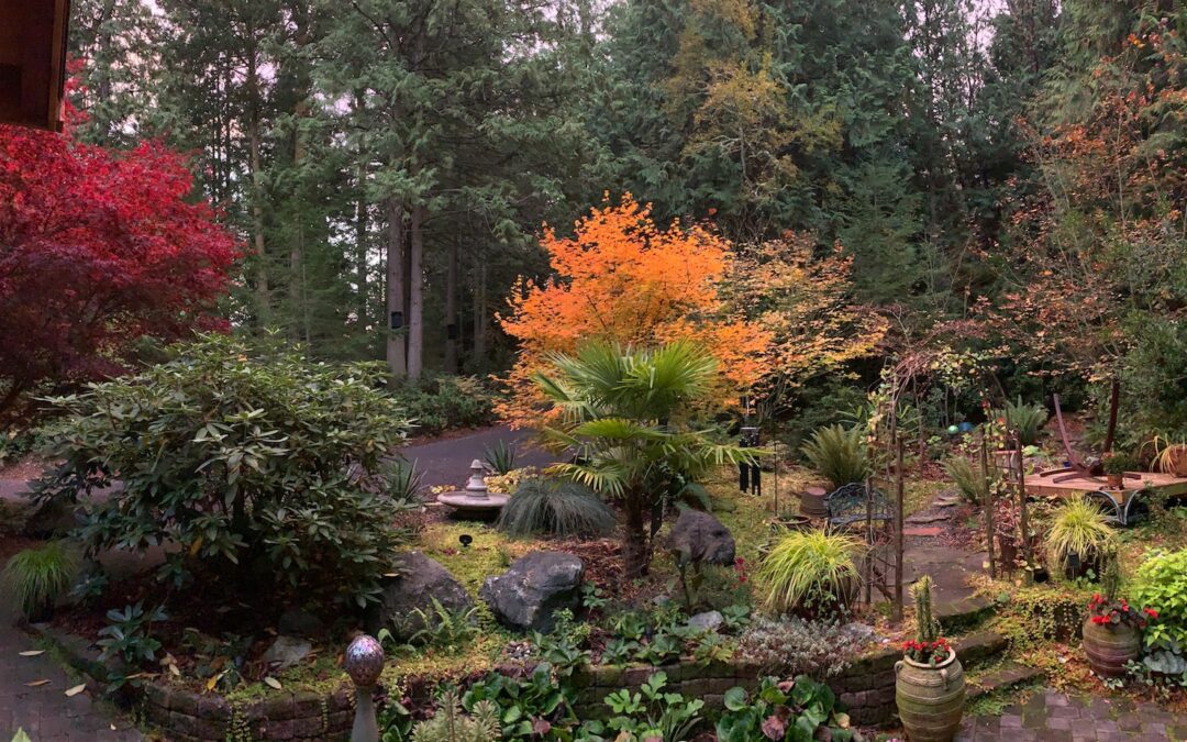 fall landscaping ideas