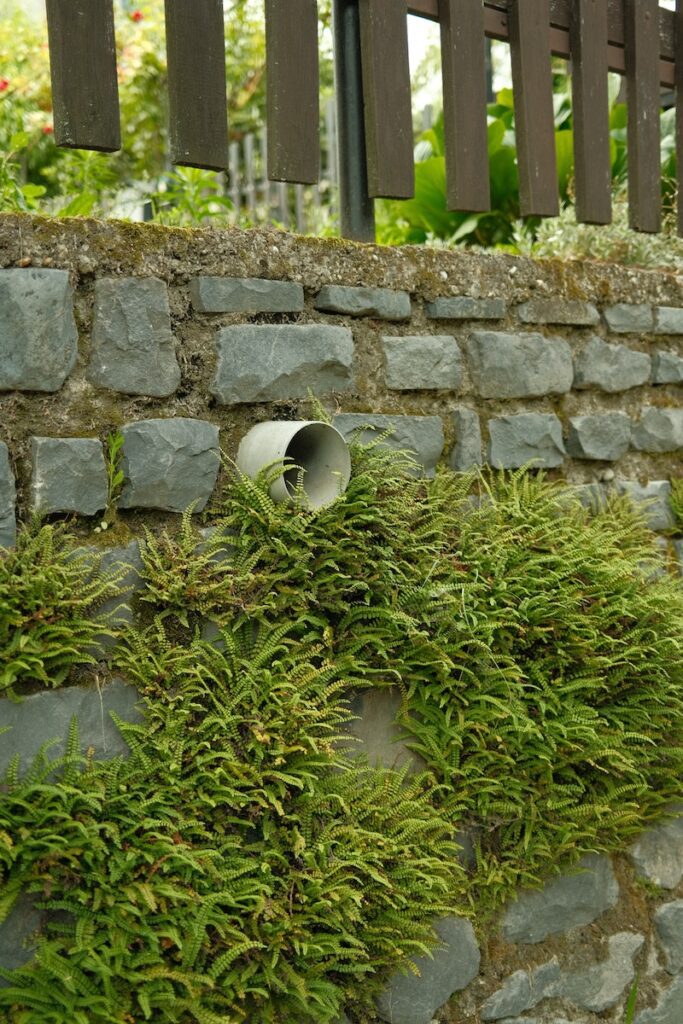 landscape drainage system