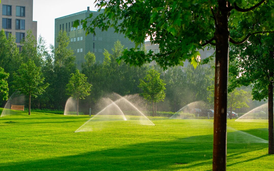 Quality Irrigation is Key for Raleigh Business Landscapes