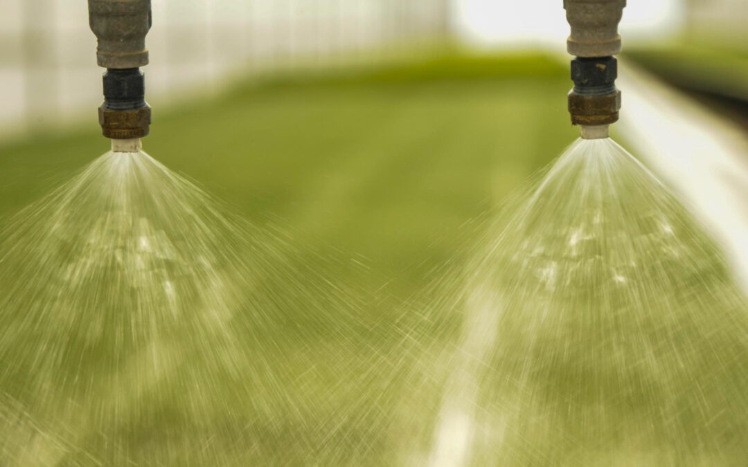 Water-Efficient Irrigation for Raleigh Corporate Grounds